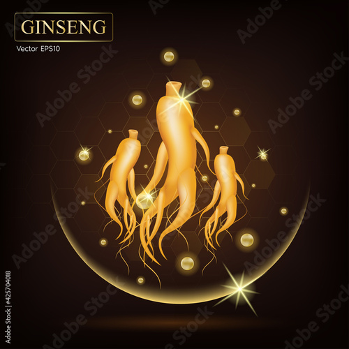 Ginseng Traditional chinese herbs, that using for medicine and food famous in Asian. Healthy superfood. Brown, orange color mushroom. Vector EPS10