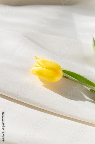 Yellow Tulip on a silk background for a minimalism and lifestyle mood 