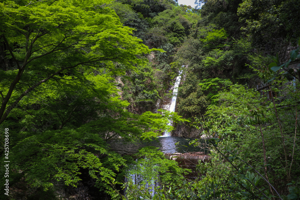 布引の滝・緑に囲まれた雌滝