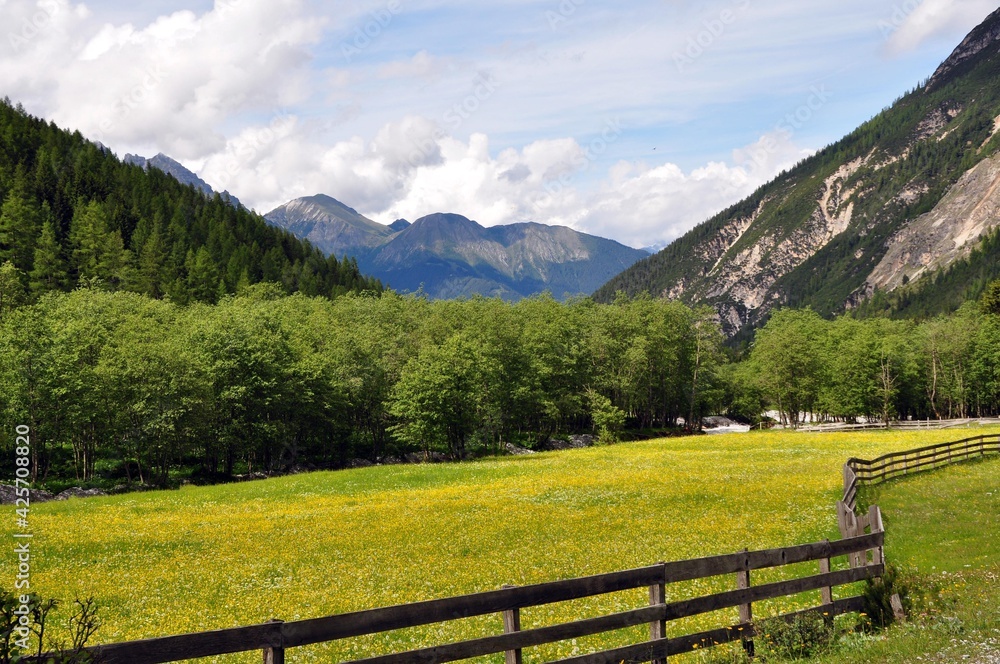 Pinnistal in den Alpen