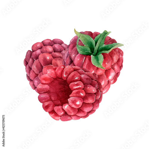 Hand drawn watercolor raspberries composition