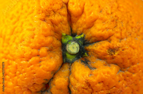 Close up photo of orange peel texture. Oranges ripe fruit background, macro view.