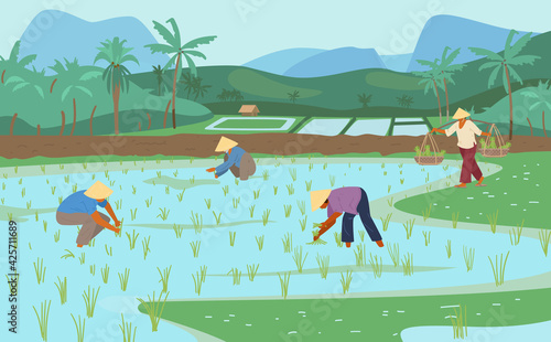 Asian Rice Fields With Workers In Conical Straw Hats. Traditional Agriculture. Vector Illustration.
