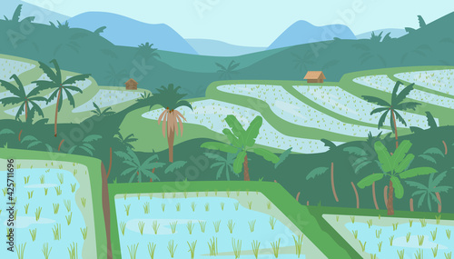 Terraced Asian Rice Fields In Mountains Landscape. Traditional Agriculture. Vector Illustration.