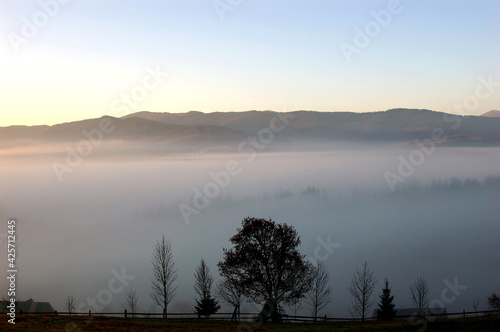 morning mist over the river mountain