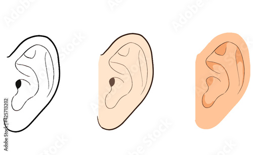 耳のイラスト　線画とカラーのセット