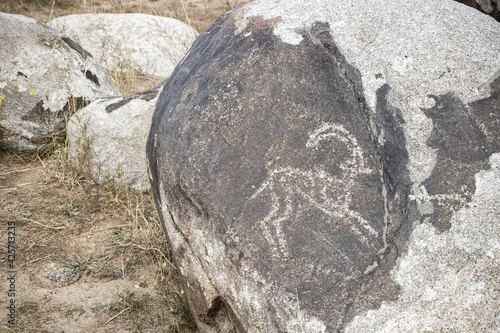 Petroglyphs on the rocks in Kazakhstan. The ancient parking cave man. Historical cave paintings. Carved on stone images of deer, goats and wolves. The development of ancient peoples