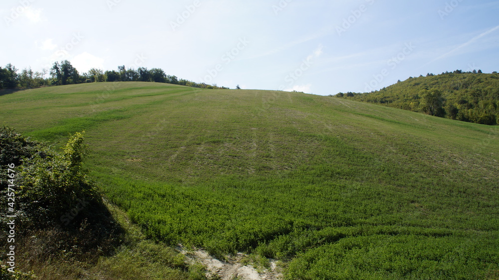 Vista lungo il sentiero sui monti delle Cesane nelle Marche