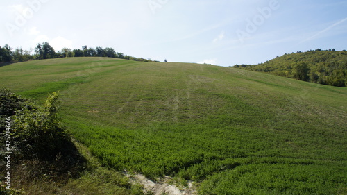 Vista lungo il sentiero sui monti delle Cesane nelle Marche