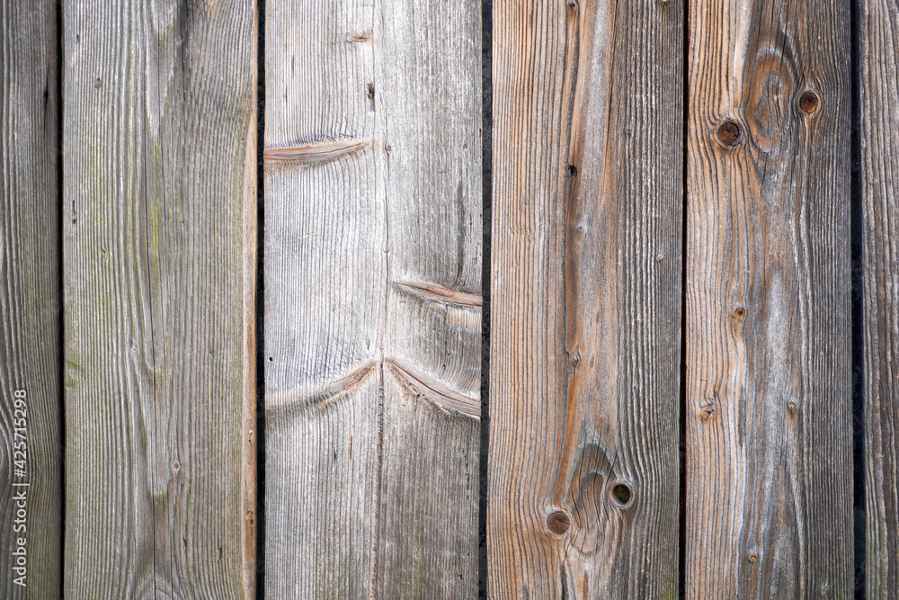 Fototapeta premium Wood with a fine structure, photographed outdoors in daylight