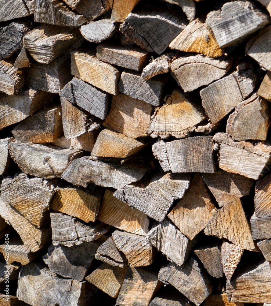 Wood with a fine structure, photographed outdoors in daylight Wood with a fine structure, photographed outdoors in daylight