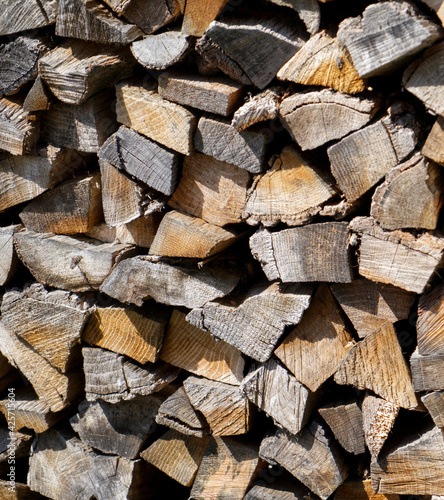 Wood with a fine structure  photographed outdoors in daylight