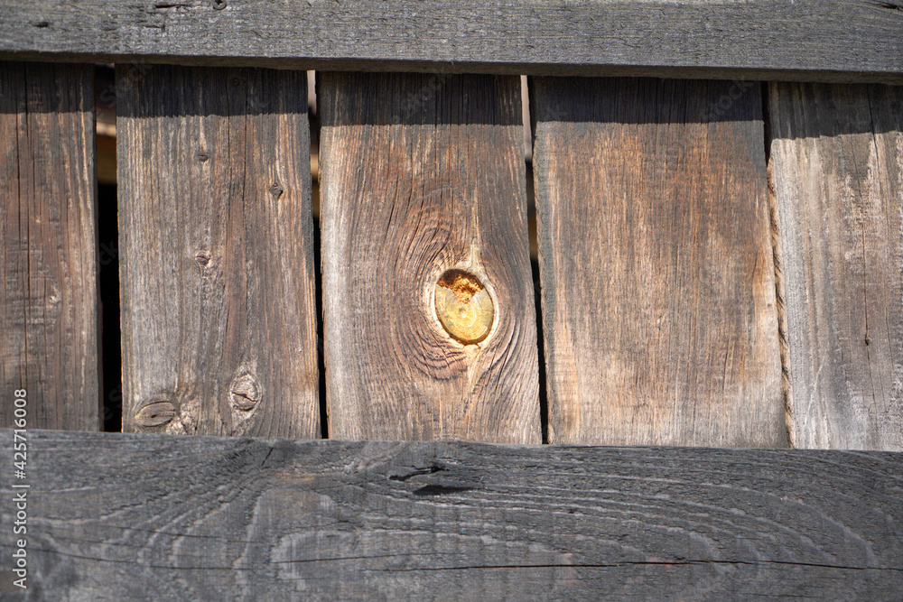 Fototapeta premium Wood with a fine structure, photographed outdoors in daylight