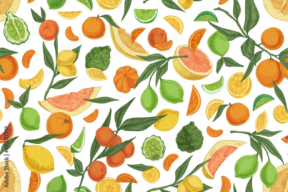 Seamless pattern with different citrus fruits on white background. Hand-drawn endless texture with oranges, lemons, tangerines, bergamot and grapefruits. Colored vector illustration for printing - obrazy, fototapety, plakaty 