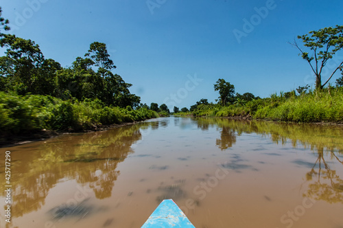 Matapica Swamp photo