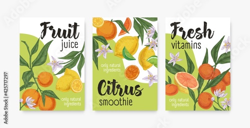 Packaging templates with tropical citrus fruits. Set of lemon, orange, mandarin, tangerine and grapefruit backgrounds or vertical banners. Colored realistic vector illustration of packing design