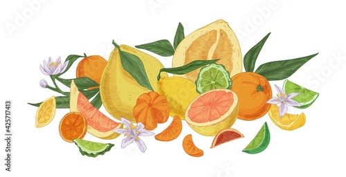 Composition of different tropical citrus fruits. Fresh juicy orange, lemon, bergamot, grapefruit, lime, mandarin, tangerine and pomelo. Colored vector illustration isolated on white background