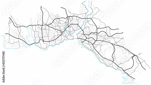 Istanbul city map (Turkey) - town streets on the plan. Monochrome line map of the  scheme of road. Urban environment, architectural background. Vector 