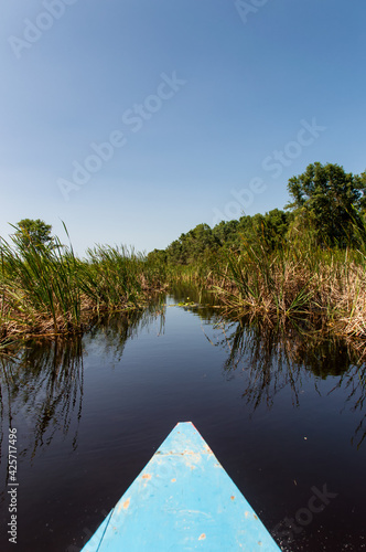 Matapica Swamp photo