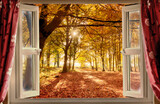 Open window view to autumn forest