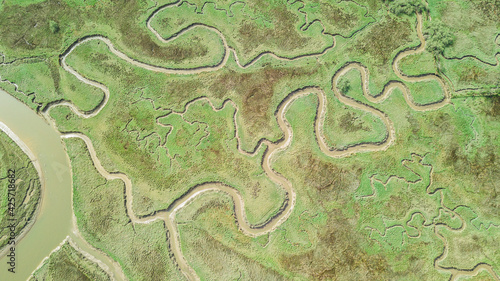 aerial view of serpentine marsh crossed by a river 