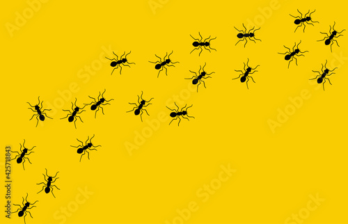 Ant vector trail marching illustration. Ant bug pest control background teamwork