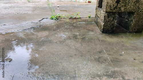 Wallpaper Mural Slow-motion 4K footage of raindrops hitting the concrete floor. Torontodigital.ca