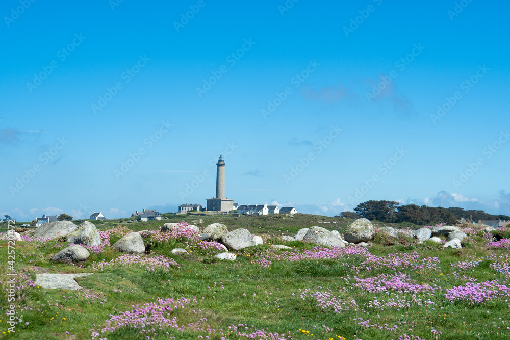 View from coastal fields with flowers towards the phare of Ile de Batz, France