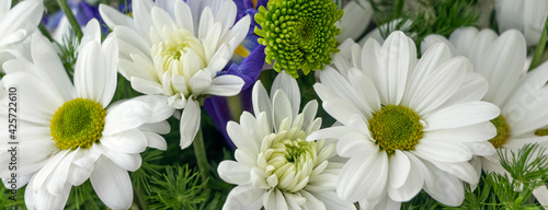 Foto banner with floral background