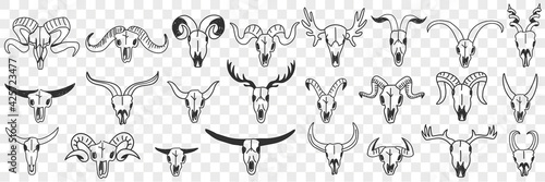 Buffalo horns as decorations doodle set. Collection of hand drawn various horns of wild buffalo animals for hanging in interiors as decorations isolated on transparent background