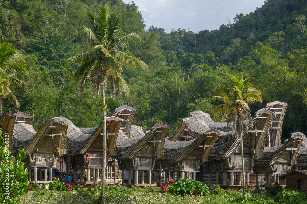 Scenic landscape view of Kete Kesu village with group of tongkonan or traditional houses, near Rantepao, Tana Toraja, South Sulawesi, Indonesia