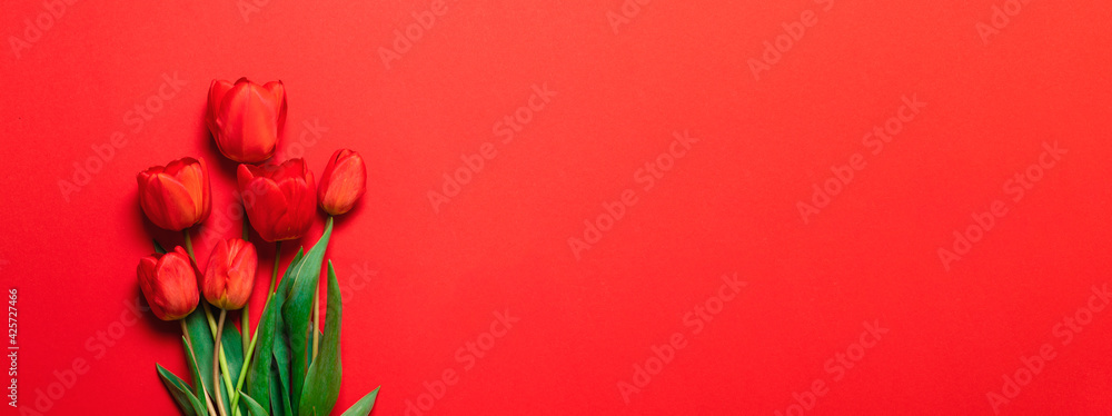 Beautiful red tulips on pink background. Lovely greeting card with tulips for Mothers day, wedding Beautiful red tulips on pink background. Lovely greeting card with tulips for Mothers day, wedding