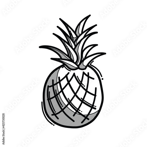 pineapple doodle vector icon. Drawing sketch illustration hand drawn line eps10