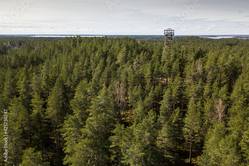 Udrkalna (Otter hill) watching tower near Usma lake, Latvia. Captured from above. photo