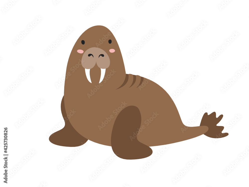 Obraz premium walrus