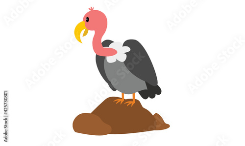 vulture