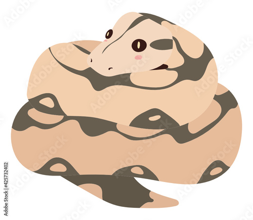 Boa
