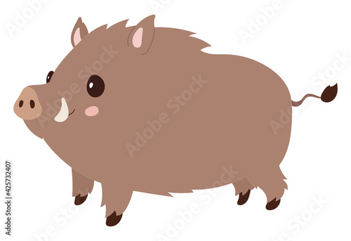 Boar