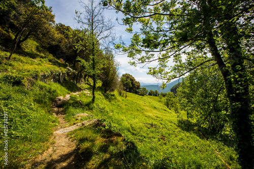 Spring landscape in Falgars D En Bas, La Garrotxa, Spain photo