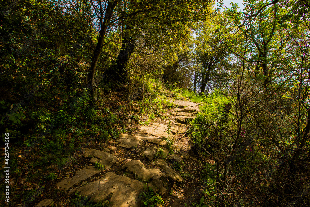 Naklejka premium Spring landscape in Falgars D En Bas, La Garrotxa, Spain