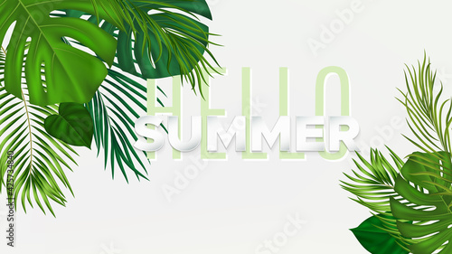Summer tropical banner with green palm leaves on white background. Vector plant background for leaflet, banner, printing.