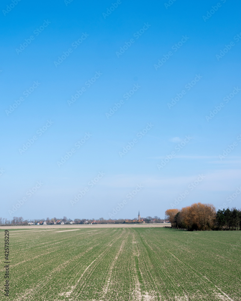 Naklejka premium field near dreischor on schouwen-duiveland in the netherlands on sunny day in spring.