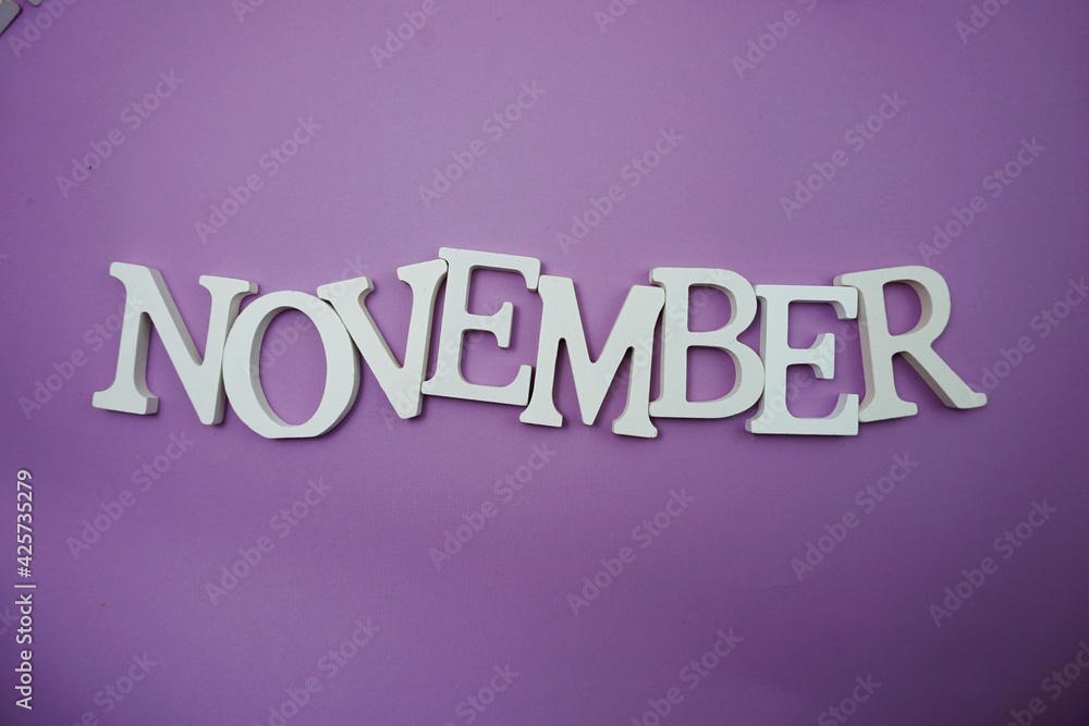 November alphabet letter with space copy on Purple background