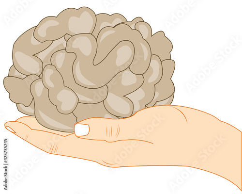 Vector illustration of the brain of the person on palm