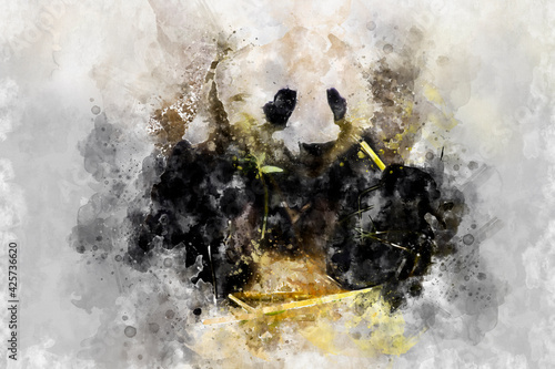 akwarela, Miś Panda jedzący bambus