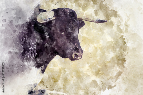 Fotografie, Obraz Watercolor, Courage, spectacle of bullfighting, where a bull fighting a bullfigh