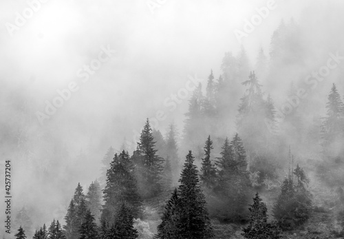 Brume sur les Alpes à La Clusaz, Haute-Savoie, France © Jorge Alves