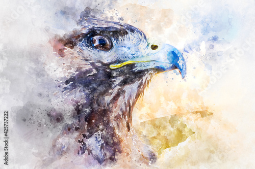 Fototapeta Watercolor, american eagle, diurnal bird of prey with beautiful plumage and yell