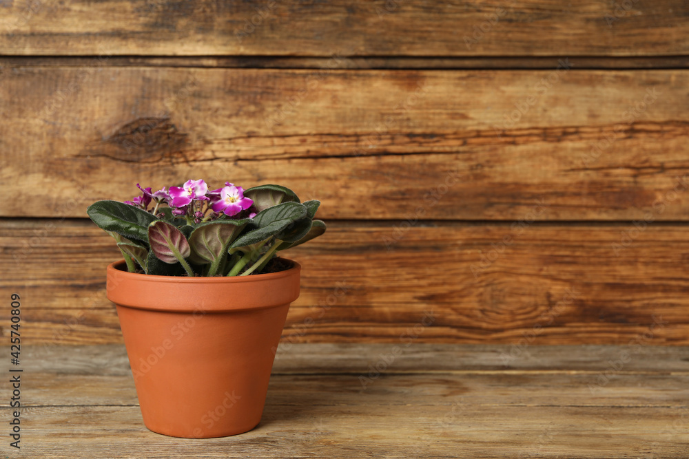 Beautiful blooming violet flower in pot on wooden table, space for text