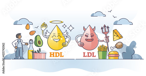 Cholesterol HDL vs LDL character comparison with food example outline concept